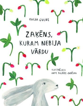 “Zaķēns, kuram nebija vārdu” – rotaļlieta, grāmata un puzle!