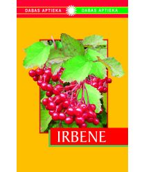 Irbene