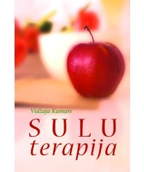 Sulu terapija