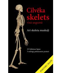 Cilvēka skelets visā augumā (11 plakāti)