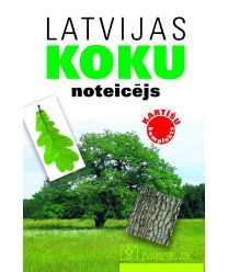 Latvijas koku noteicējs. Kartīšu komplekts