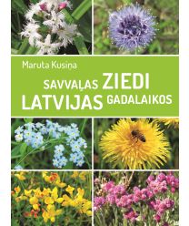 Savvaļas ziedi Latvijas gadalaikos