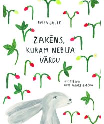 Zaķēns, kuram nebija vārdu