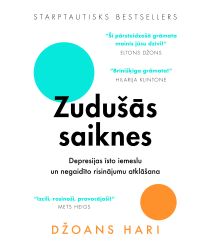 Zudu╬šās saiknes. Depresijas īsto iemeslu ╩ un negaidīto risinājumu ╩ atklāšana