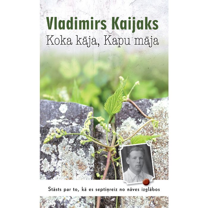 Koka kāja, kapu māja