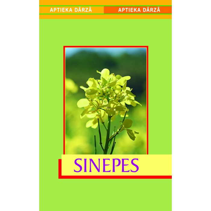 Sinepes