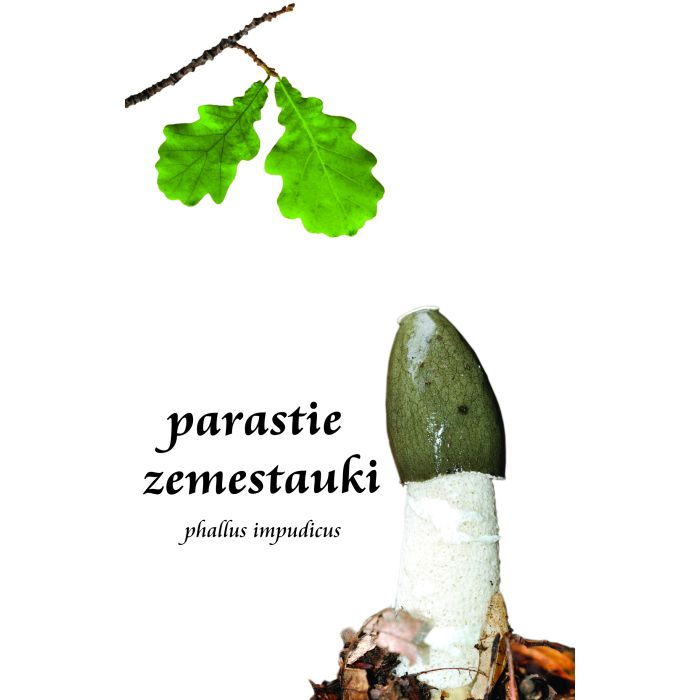 Parastie zemestauki