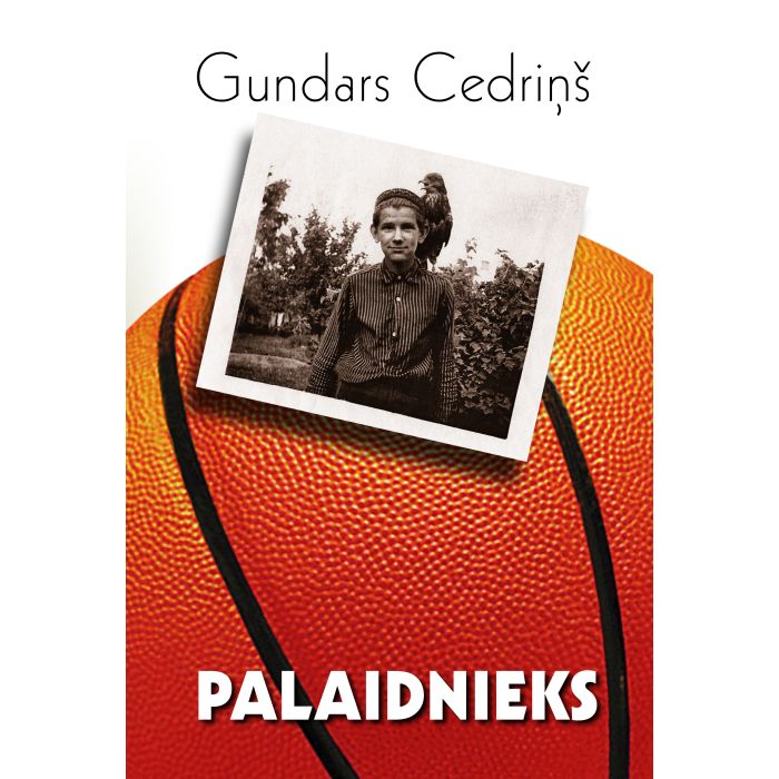 Palaidnieks