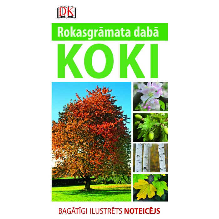 Koki. Rokasgrāmata dabā