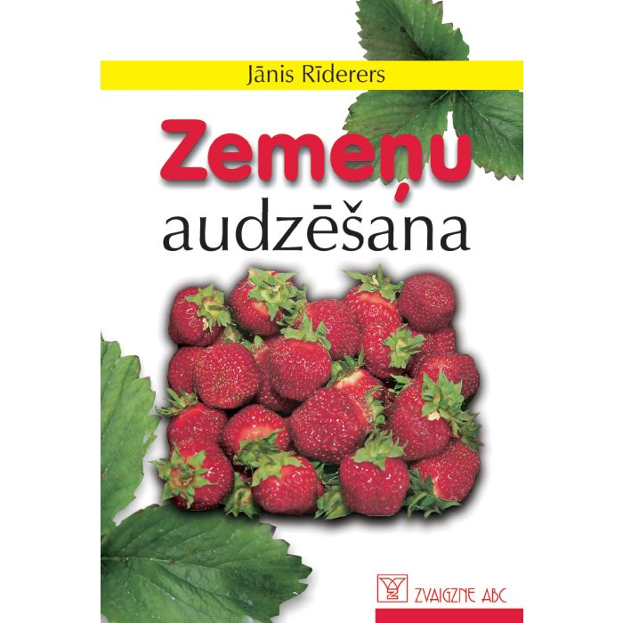 Zemeņu audzēšana