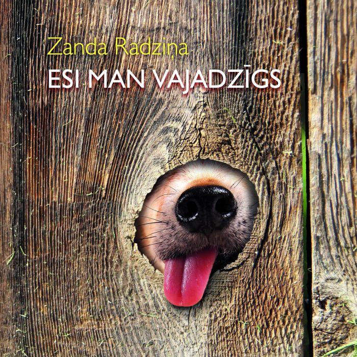 Esi man vajadzīgs