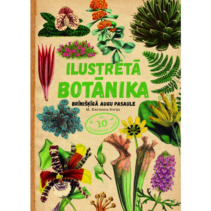 Ilustrētā botānika. Brīnišķīgā augu pasaule