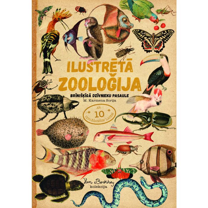 Ilustrētā zooloģija. Brīnišķīgā dzīvnieku pasaule