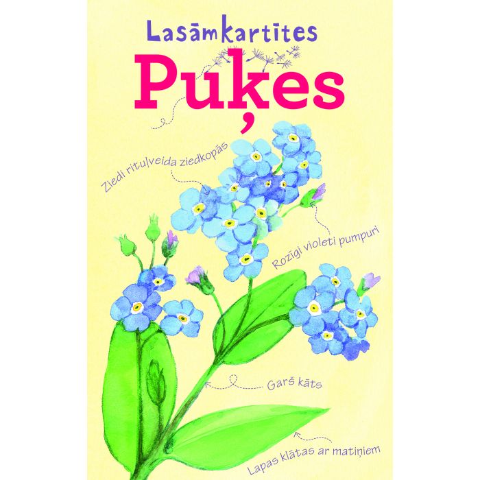 Puķes. Lasāmkartītes