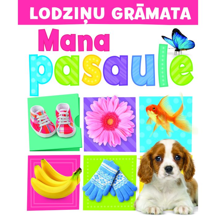 Mana pasaule. Lodziņu grāmata