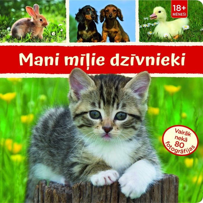 Mani mīļie dzīvnieki