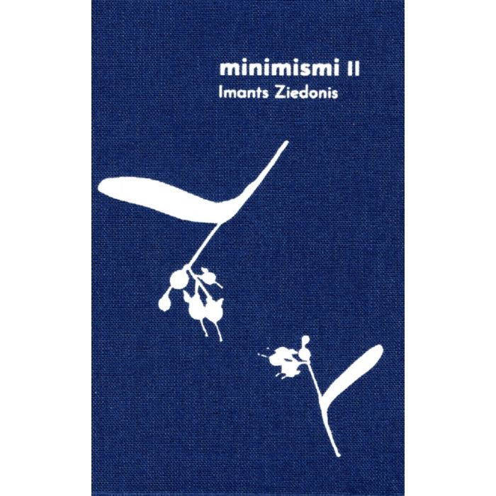 Minimismi II