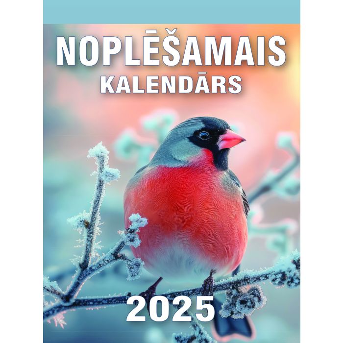 Noplēšamais kalendārs 2025. 3 veidi