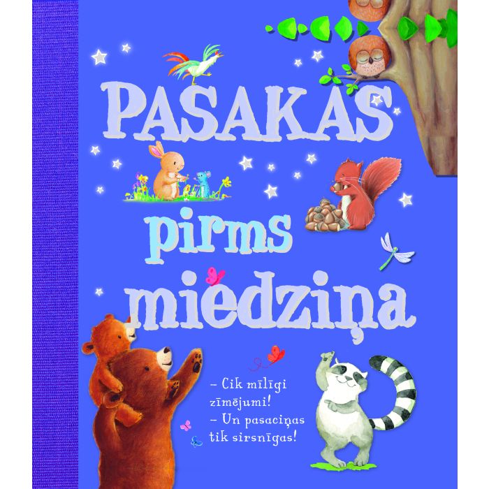 Pasakas pirms miedziņa