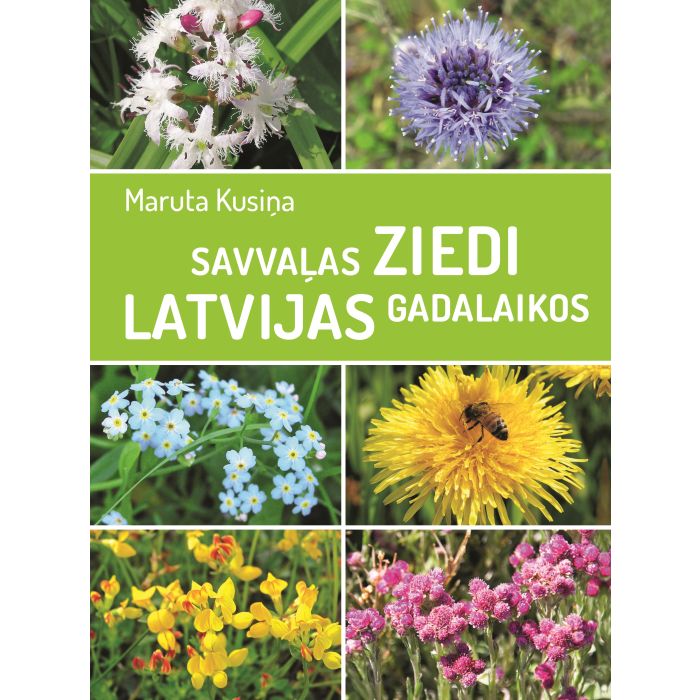 Savvaļas ziedi Latvijas gadalaikos