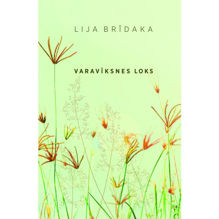 Varavīksnes loks