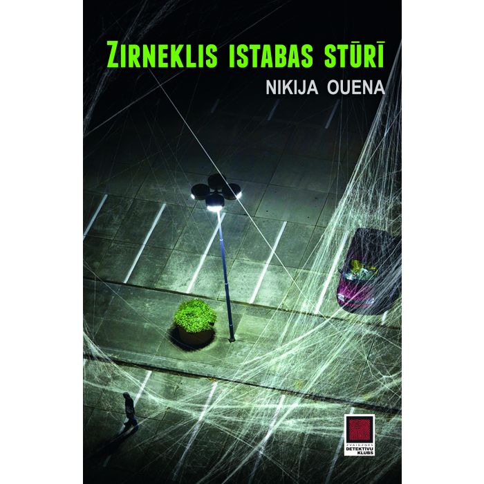 Zirneklis istabas stūrī