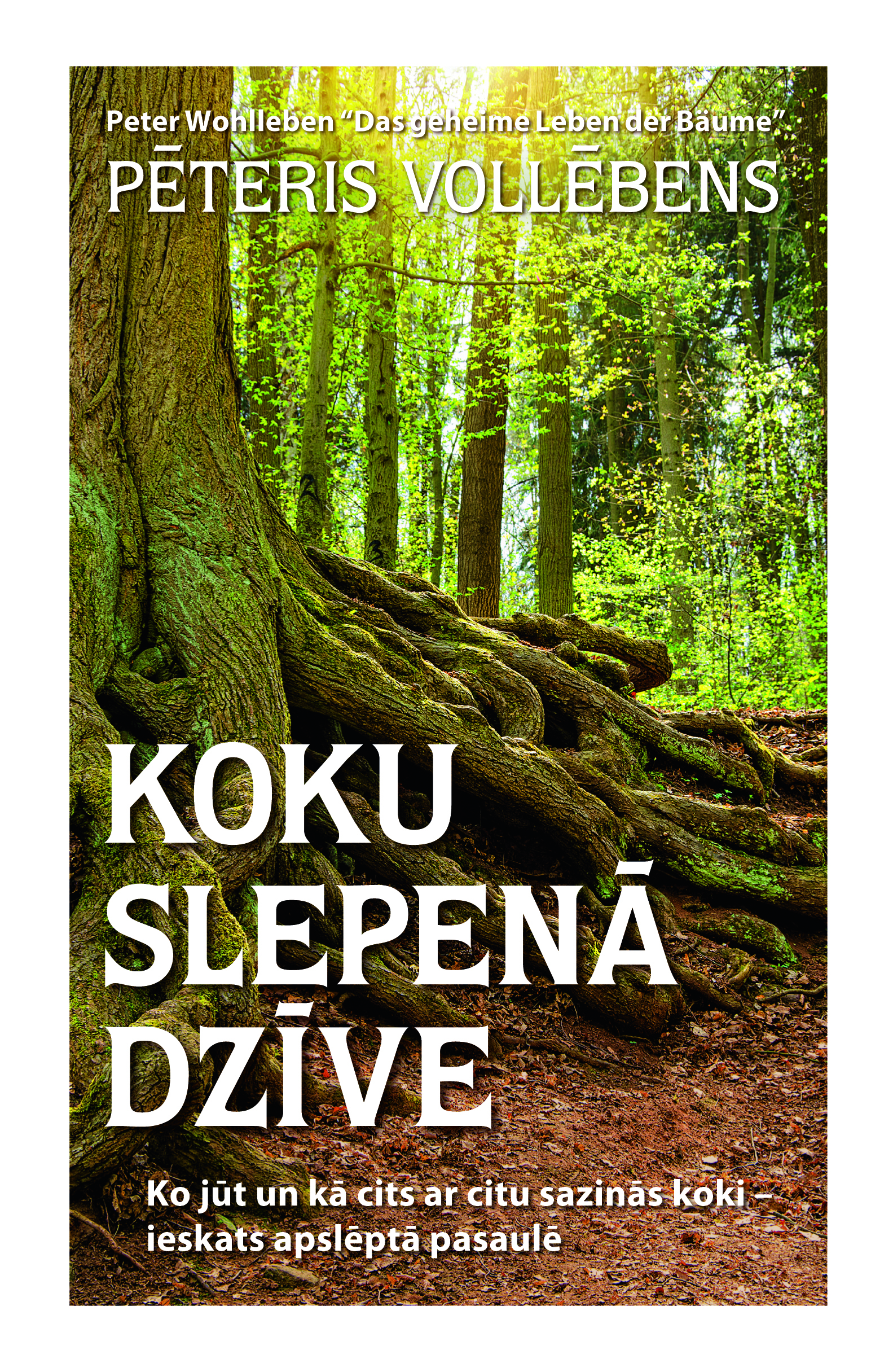 Koku slepenā dzīve. Ko jūt un kā cits ar citu sazinās koki – ieskats apslēptā pasaulē